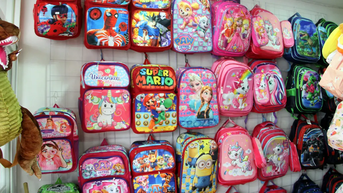 JE160820231288Venta de Mochilas